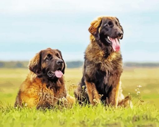 Leonberger Dogs paint by numbers