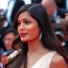 Pretty Freida Pinto paint by numbers