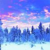 Snowy Forest In Lapland paint by numbers