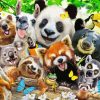 Wild Animals Smiling Selfie paint by numbers