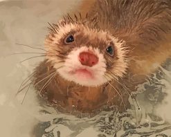 Brown Ferret paint by number