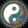 Cool Yin Yang Mandala paint by numbers