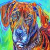 Plott Hound Dog Art paint by numbers
