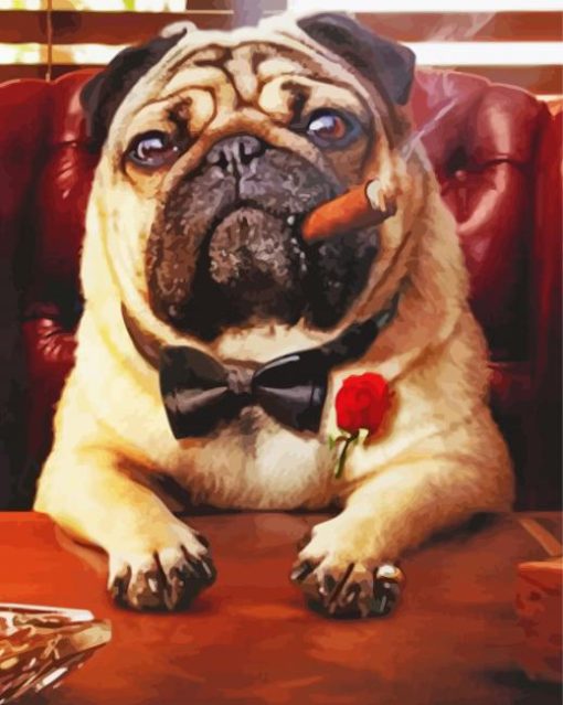 Pug With A Cigar paint by numbers