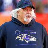 Rob Ryan Football Coach paint by numbers