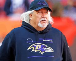 Rob Ryan Football Coach paint by numbers