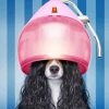 Dog With Long Hair At The Salon paint by numbers