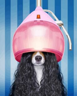 Dog With Long Hair At The Salon paint by numbers