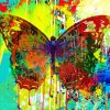 Aesthetic Abstract Butterfly Art paint by numbers