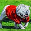Gerogia Bulldog paint by numbers