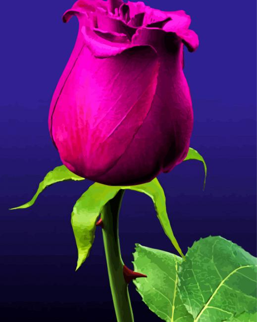 Purple Rose Illustration paint by numbers