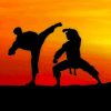 Taekwondo Silhouette paint by numbers