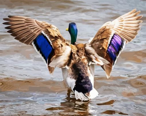 Incoming Mallard paint by numbers