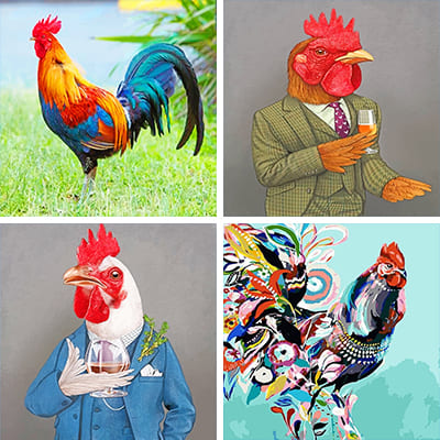 Chicken painting by numbers