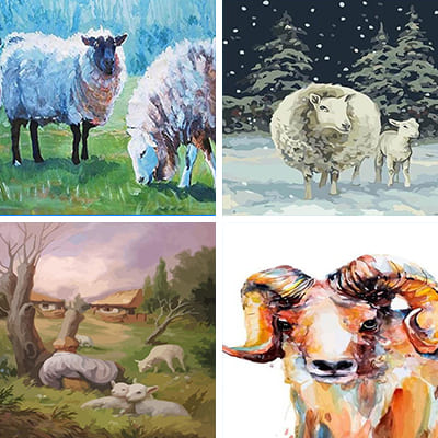 Sheep painting by numbers