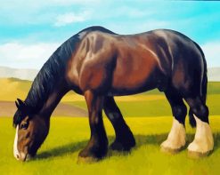 Brown Shire Horse paint by numbers