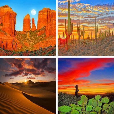 deserts painting by numbers