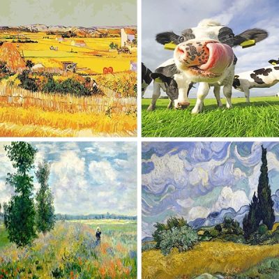 fields painting by numbers