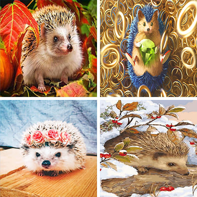 hedgehog painting by numbers