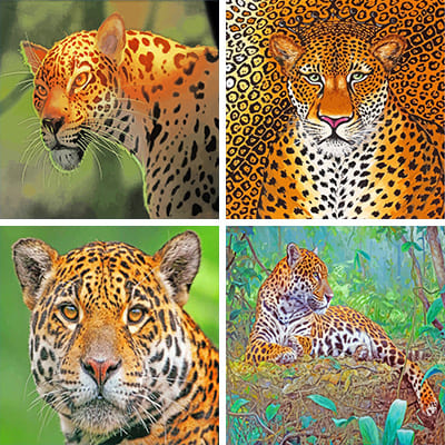 jaguar painting by numbers