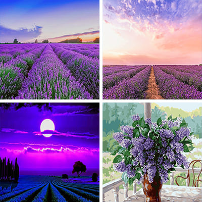 lavender painting by numbers