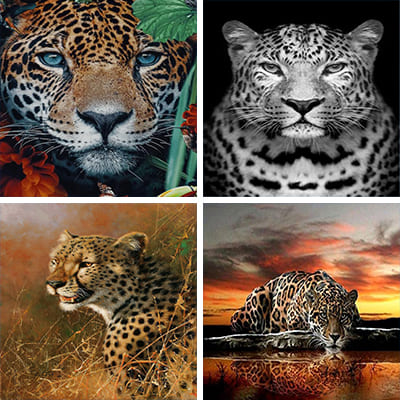 leopard painting by numbers