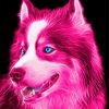 Pink Dog Art paint by numbers