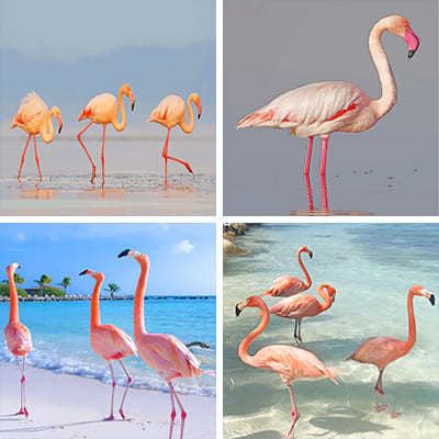 pink Flamingos painting by numbers