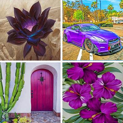 purple painting by numbers