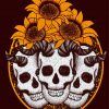 Aesthetic Skulls Sunflowers paint by numbers