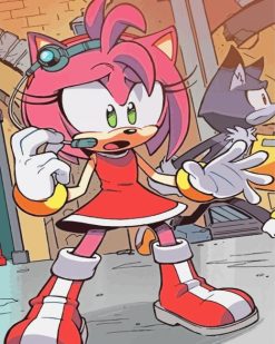 Amy Rose From Sonic paint by numbers