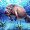 Manatees Animal paint by numbers