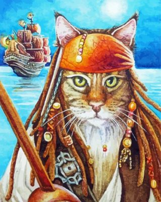 Pirate Cat  paint by numbers