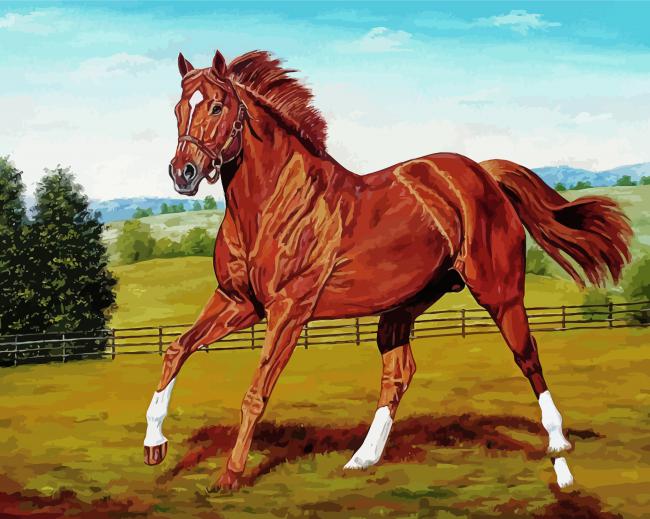 Secretariat Horse Art paint by numbers