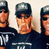 Aesthetic NWO Wrestling paint by numbers
