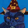 The Witch Cat paint by numbers