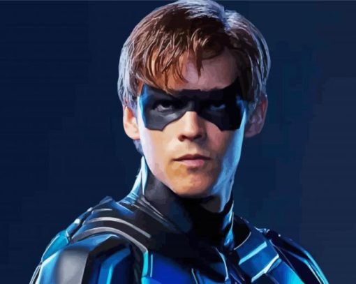 The Superhero Nightwing paint by numbers