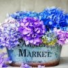 Hydrangea Flowers paint by numbers