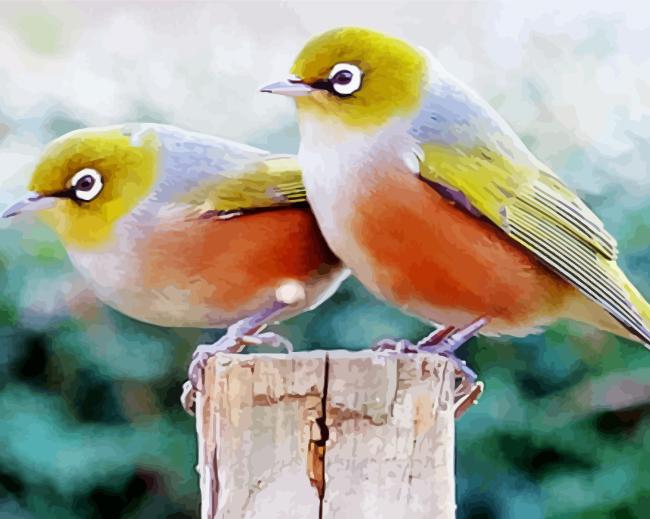 Waxeye Birds Paint By Numbers